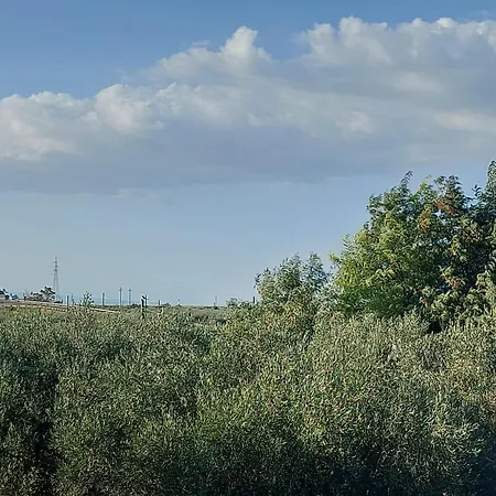 La Del Conte
