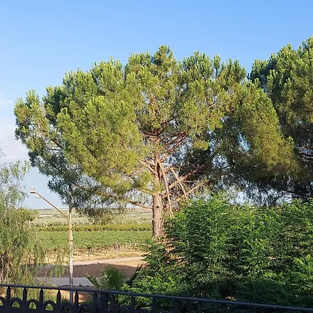 La Del Conte 4* Barletta