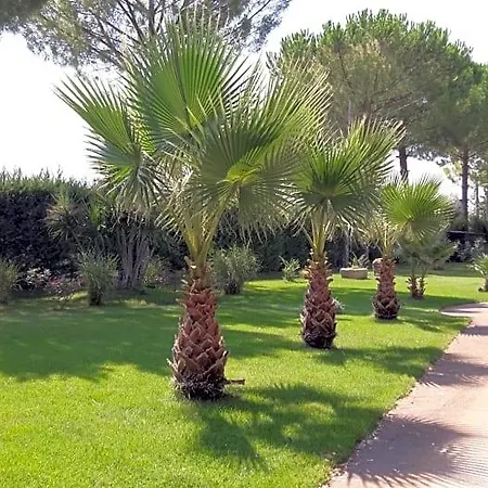 La Del Conte 4*