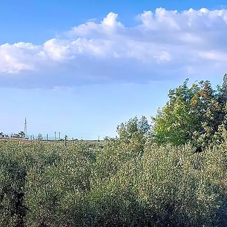 B&B La Del Conte